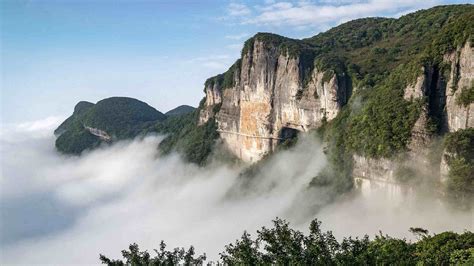 重慶哪個山景區好，不妨看看這座山景區的生態價值