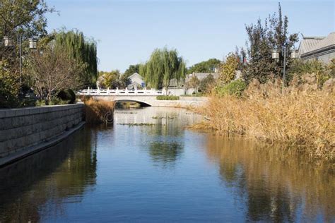 玉合公園怎麼樣？深度探索其魅力與特色